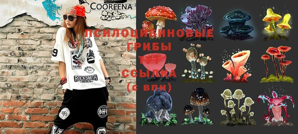 хмурый Лиски