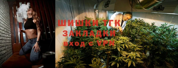 твердый Магас