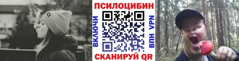 Купить  Барнаул  Псилоцибиновые грибы GOLDEN TEACHER 